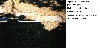 Click for large picture